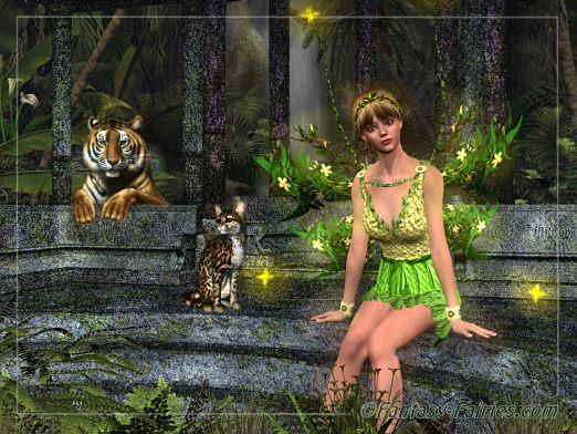 magic-forest.jpg