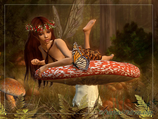 mushroom-fairy.jpg