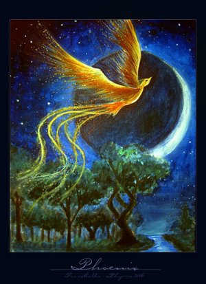 phoenix_by_fafnyr.jpg